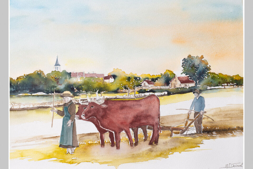 Le film « Paysans du Ségala – de 1900 à nos jours » Arche du Tolerme