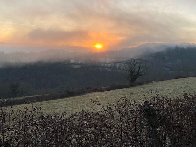 Manoir de Rieuzal, Loubressac - photo 24