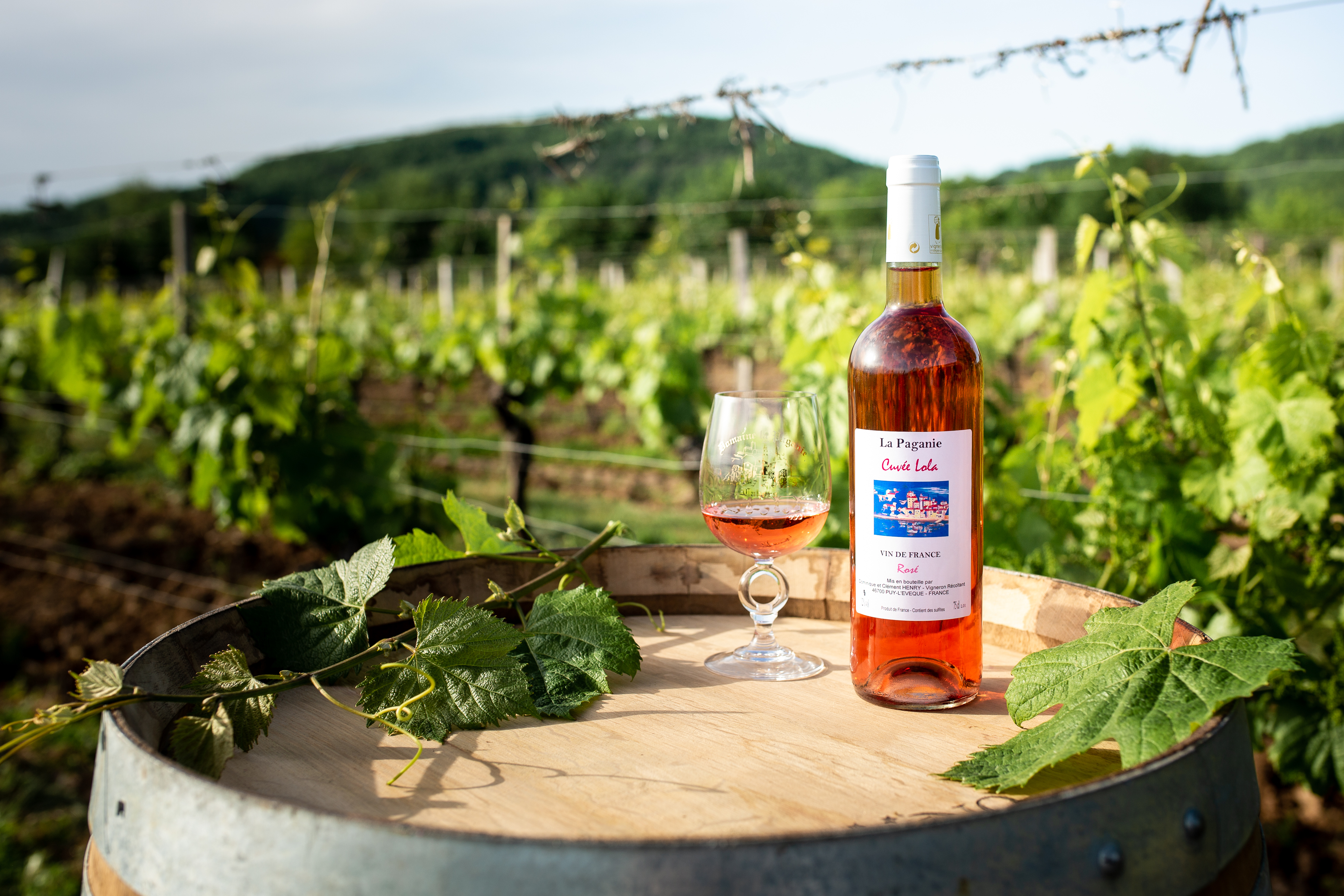 Domaine la Paganie — photo 3
