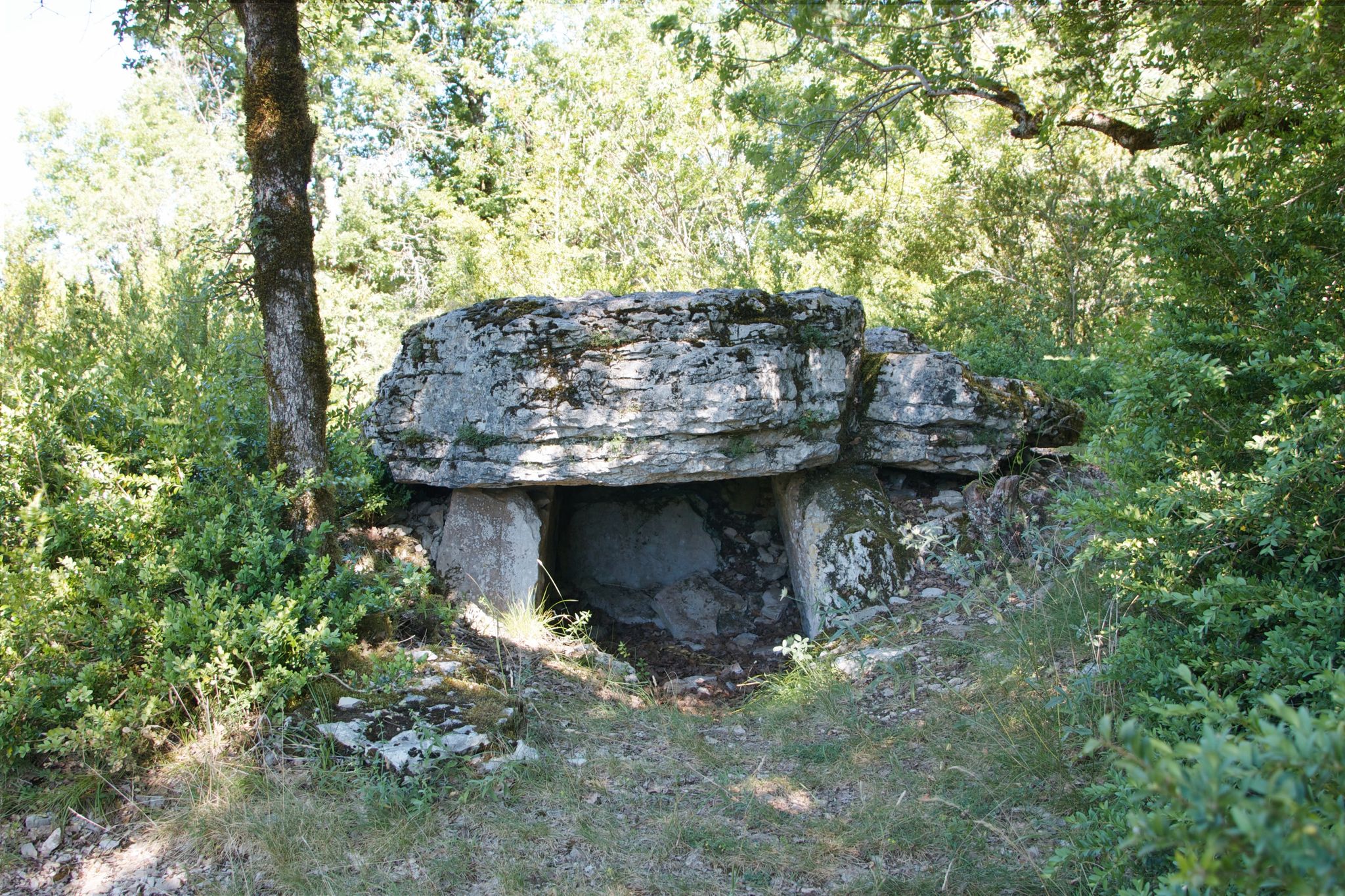 6347579_5_-_le_dolmen_de_pierre_levee_1jpg