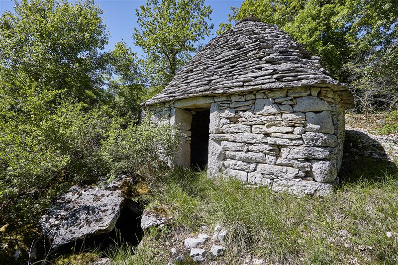 Une cabane exceptionnelle !