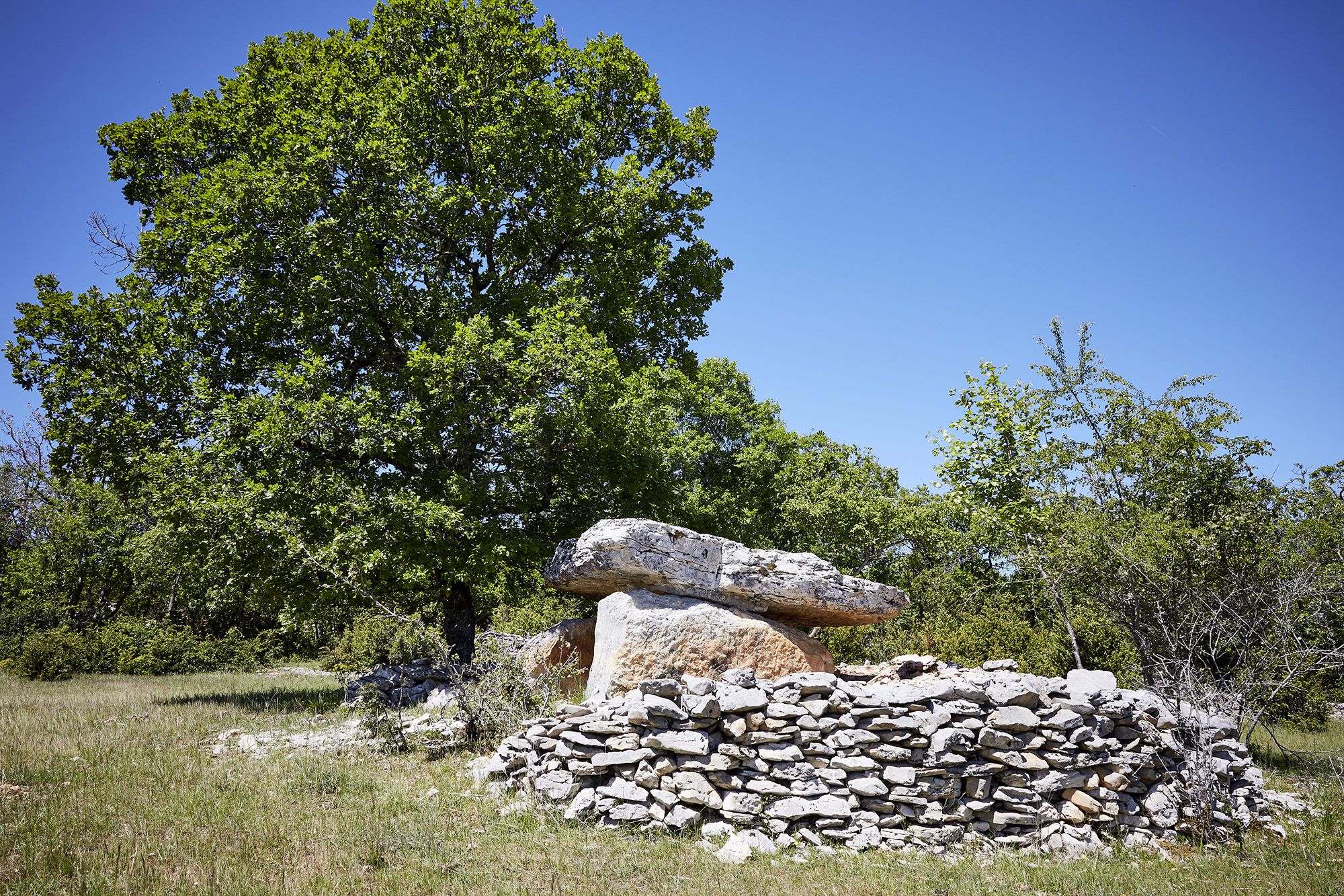 6452726_dolmen__nelly_blaya-departement_du_lotjpg