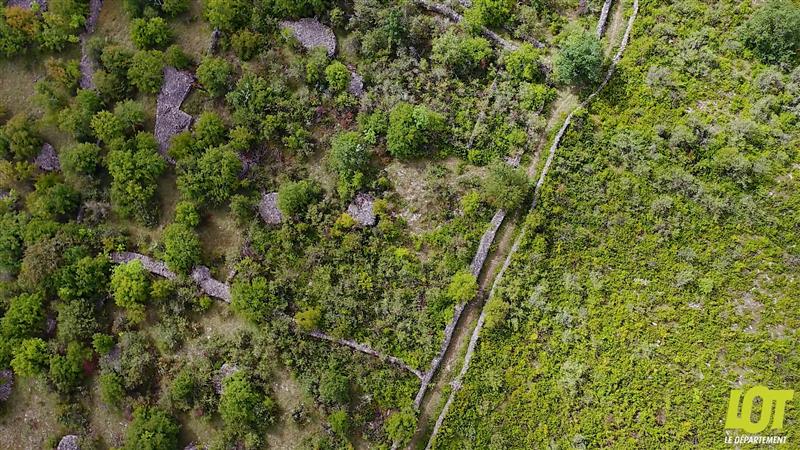 Un terroir modelé par d'anciennes pratiques agraires