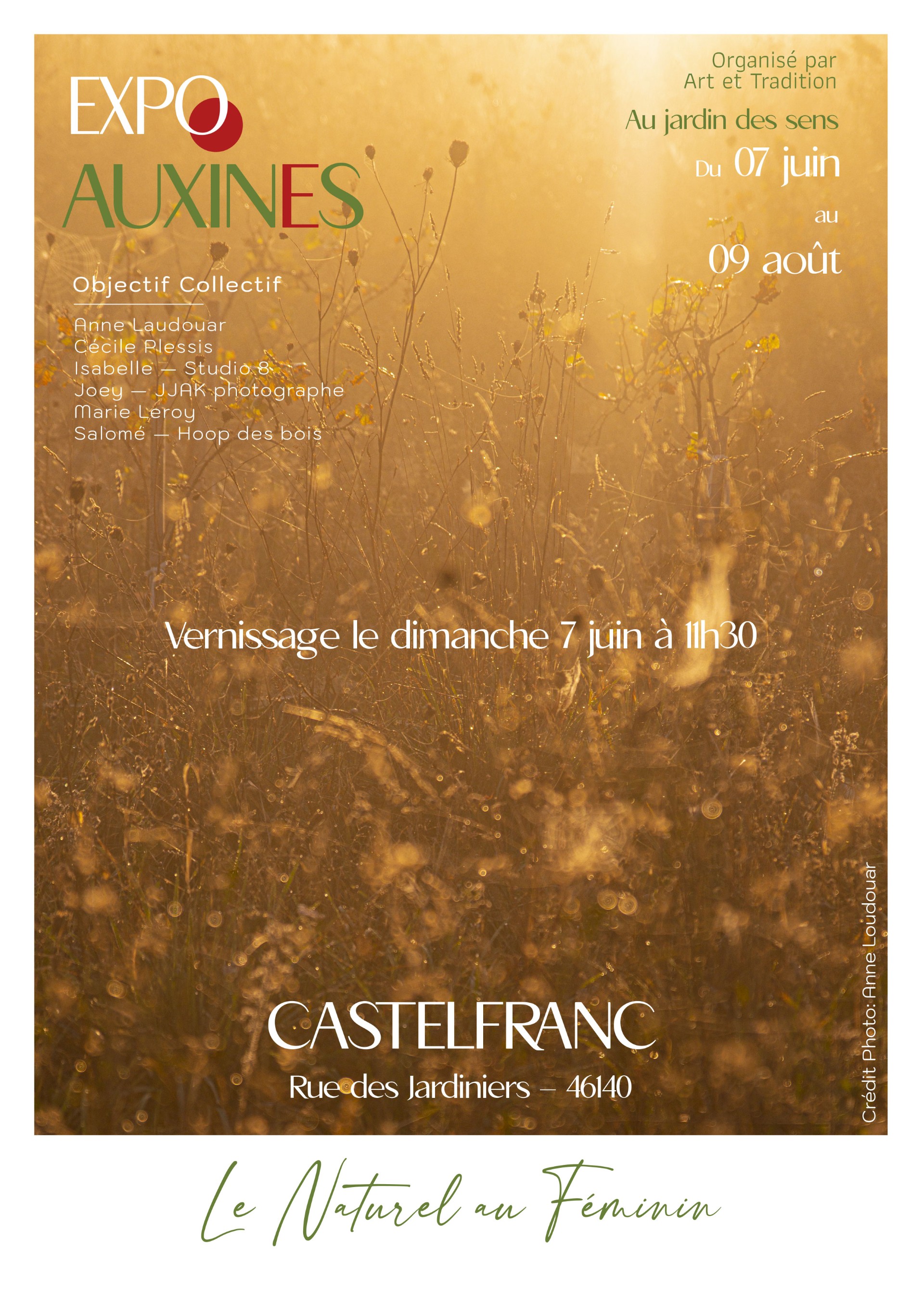 Cahors Juin Jardins : Exposition "Auxines" au Jardin des Sens — visuel événement