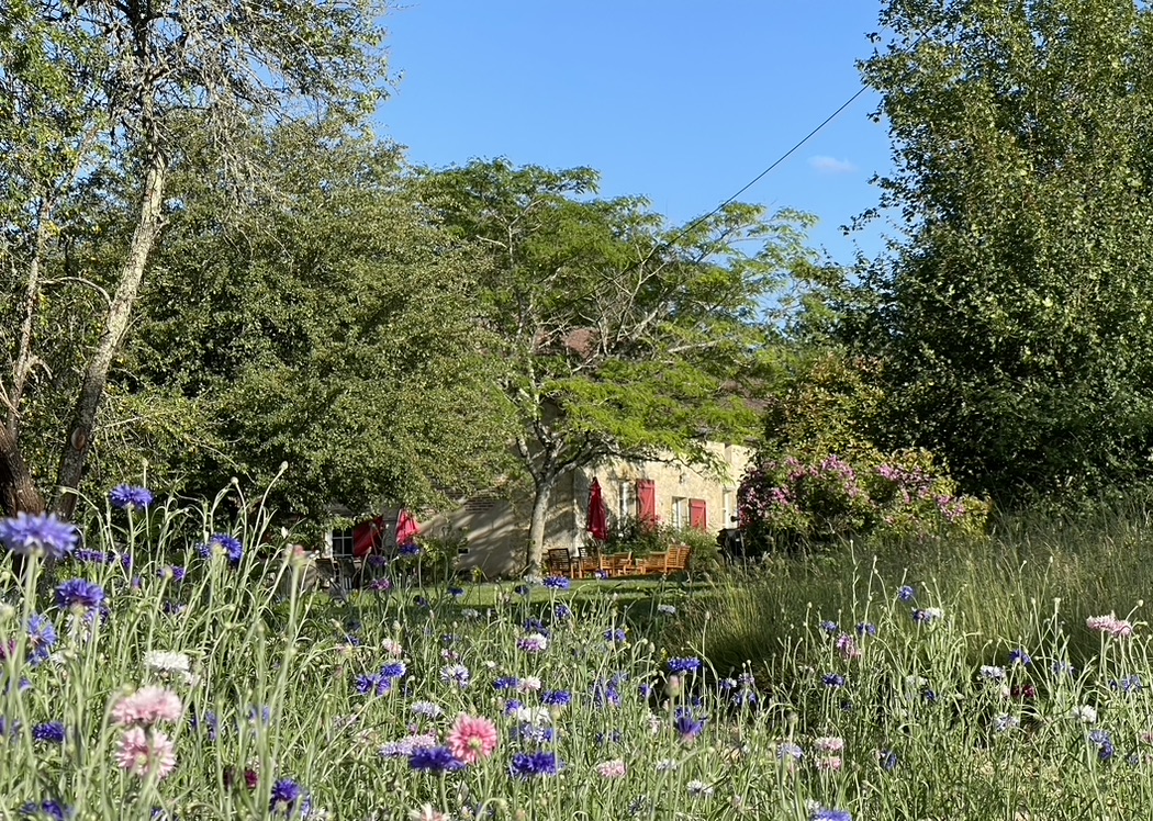 Domaine de Belbouys - Gîte La Ferme, Soturac - photo 11