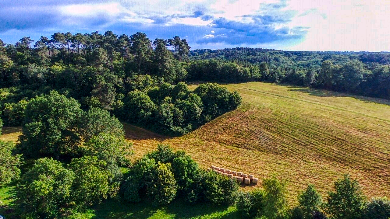 Les Buis de la Borie, Montcabrier - photo 10