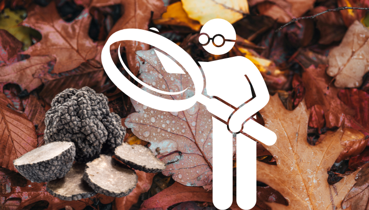 Découverte de l'environnement trufficole à Saint Géry-Vers