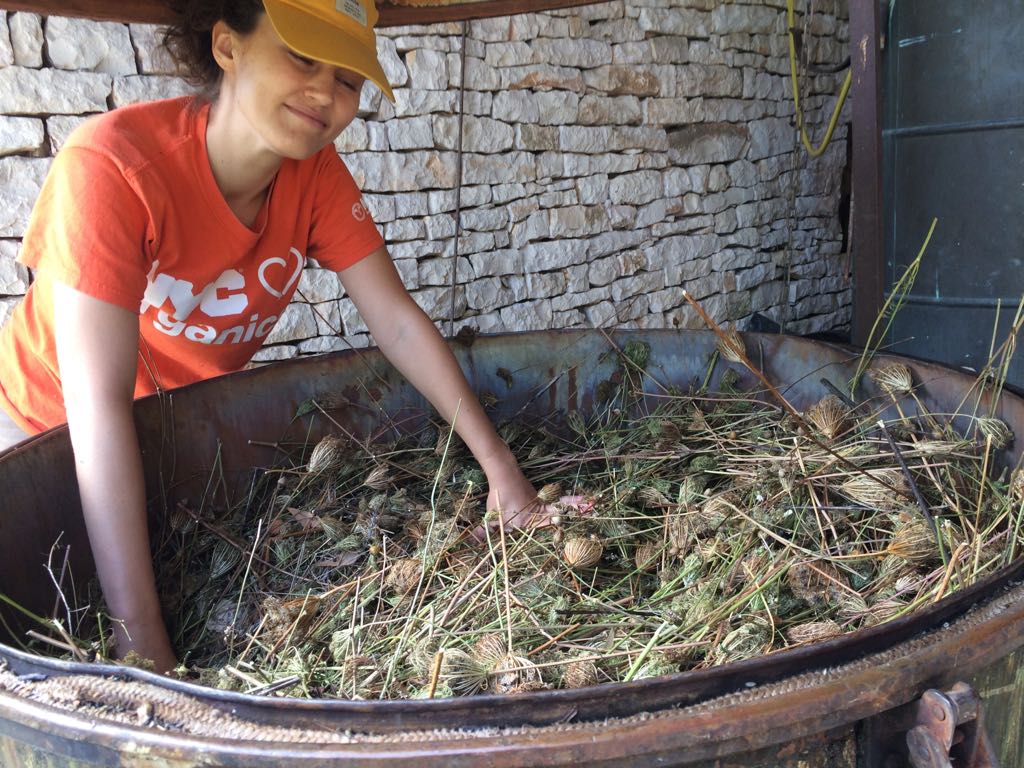 Association Alambics, Arômes et Bien-être