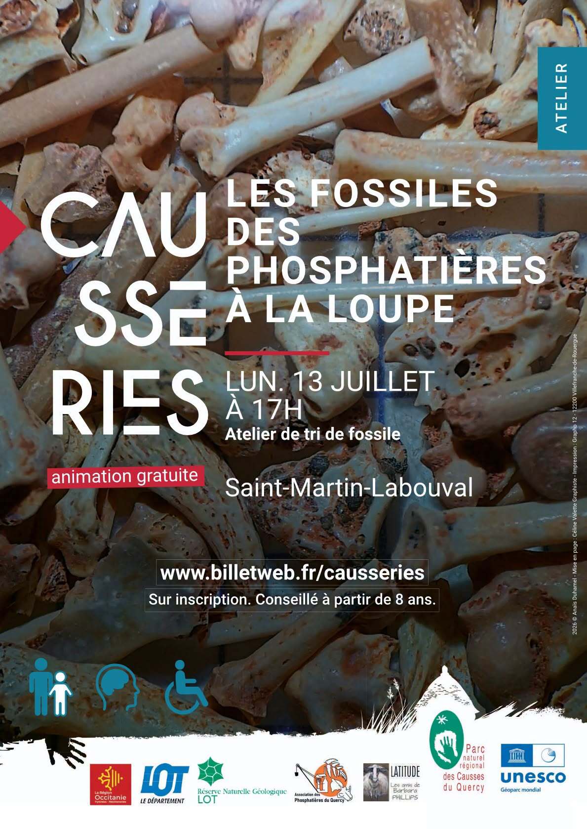 Les fossiles des phosphatières à la loupe 
Atelier de tri des fossiles
