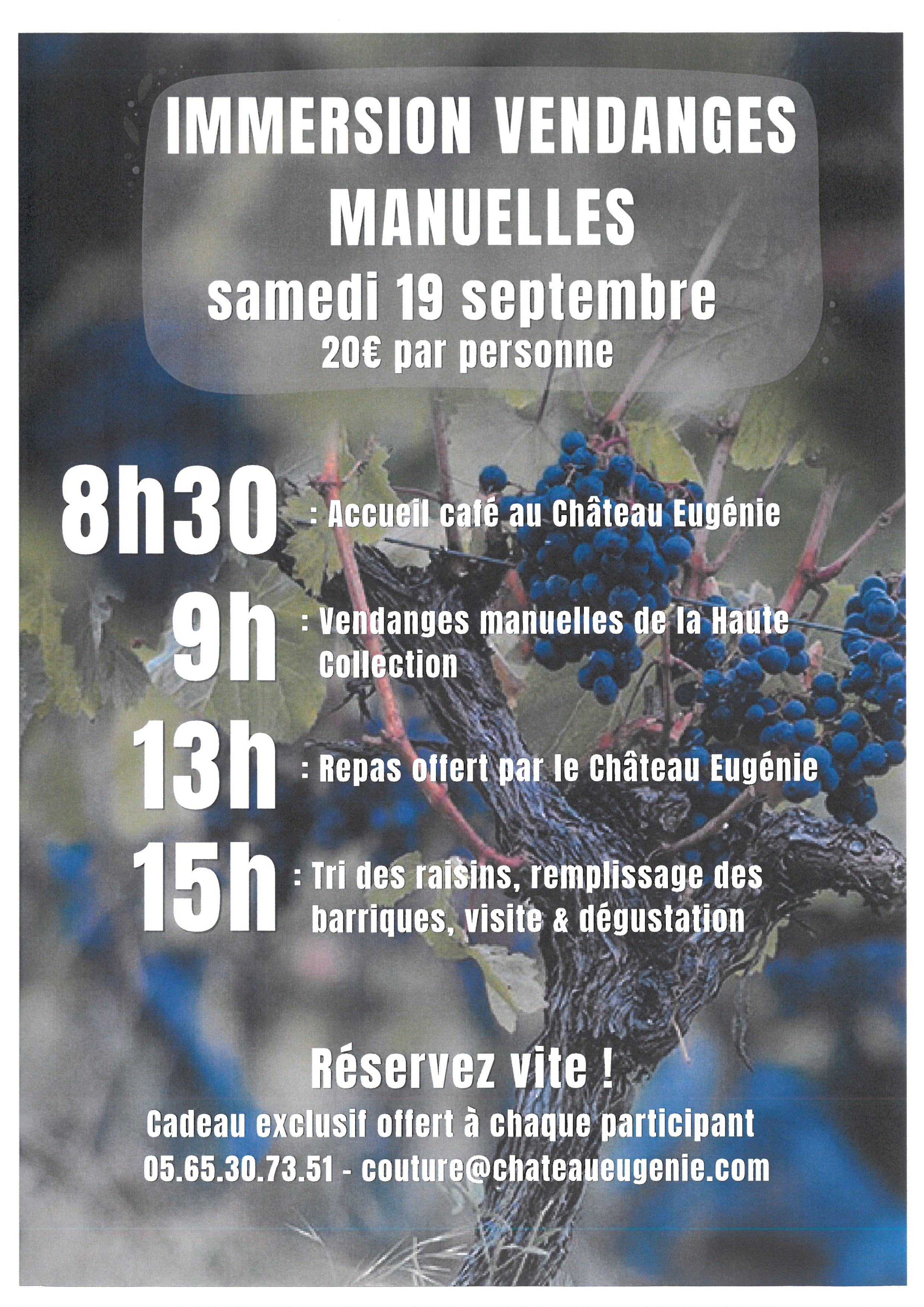 Immersion vendanges manuelles au Château Eugénie