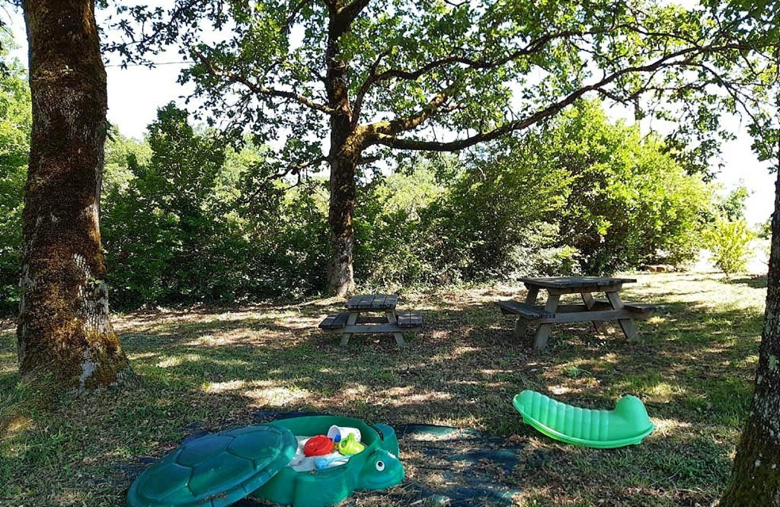 La Borie de Soulignac, Salviac - photo 16