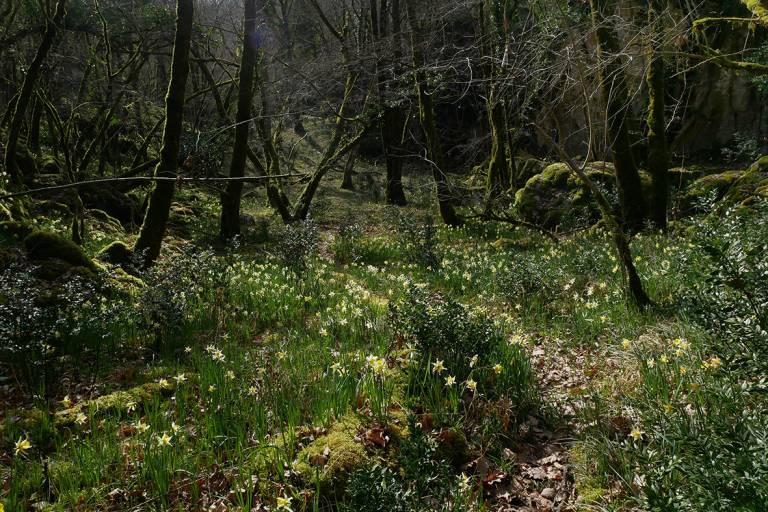 ATELIER : la photo vagabonde