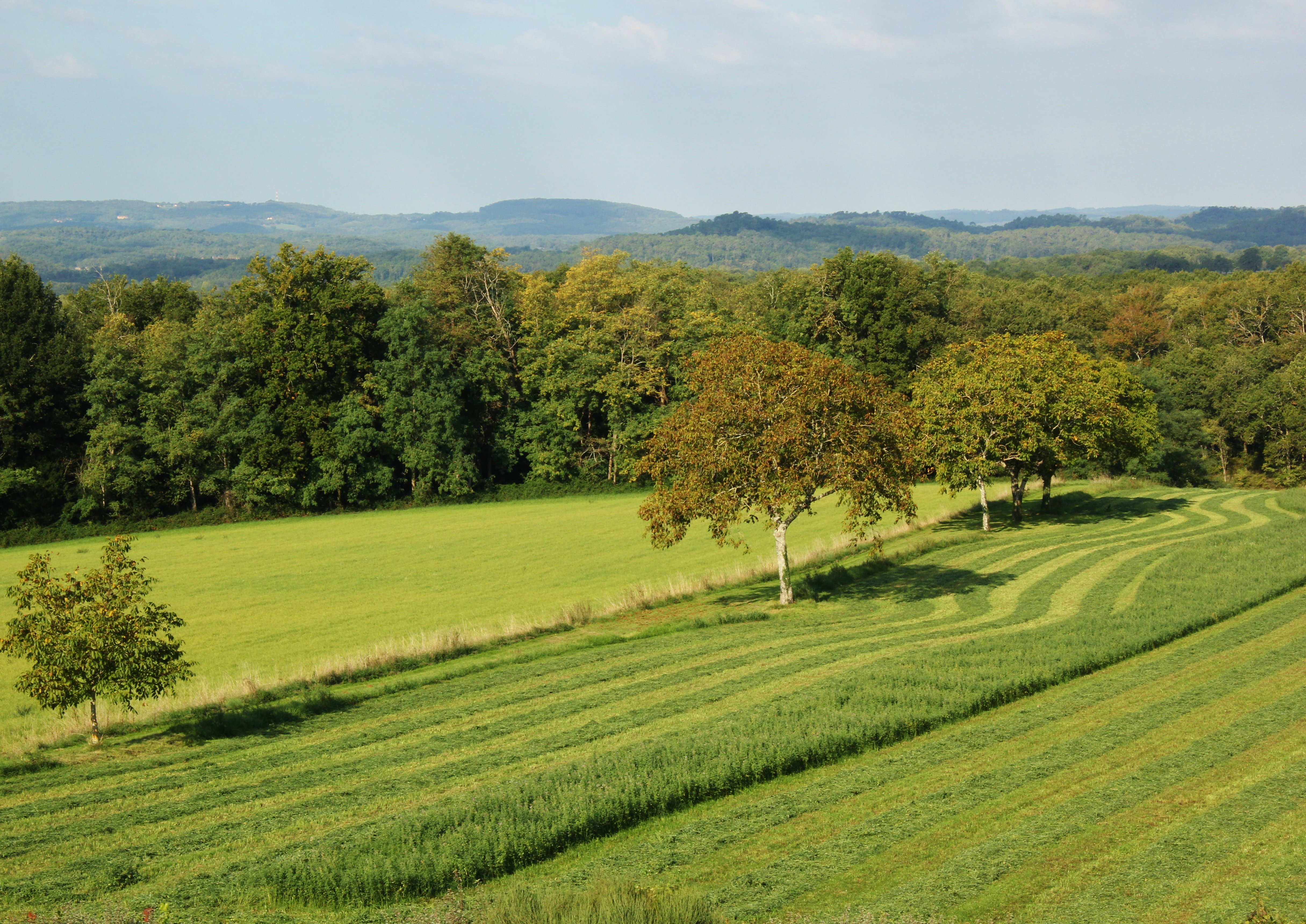 La Grange Du Bos, Rouffilhac - photo 2