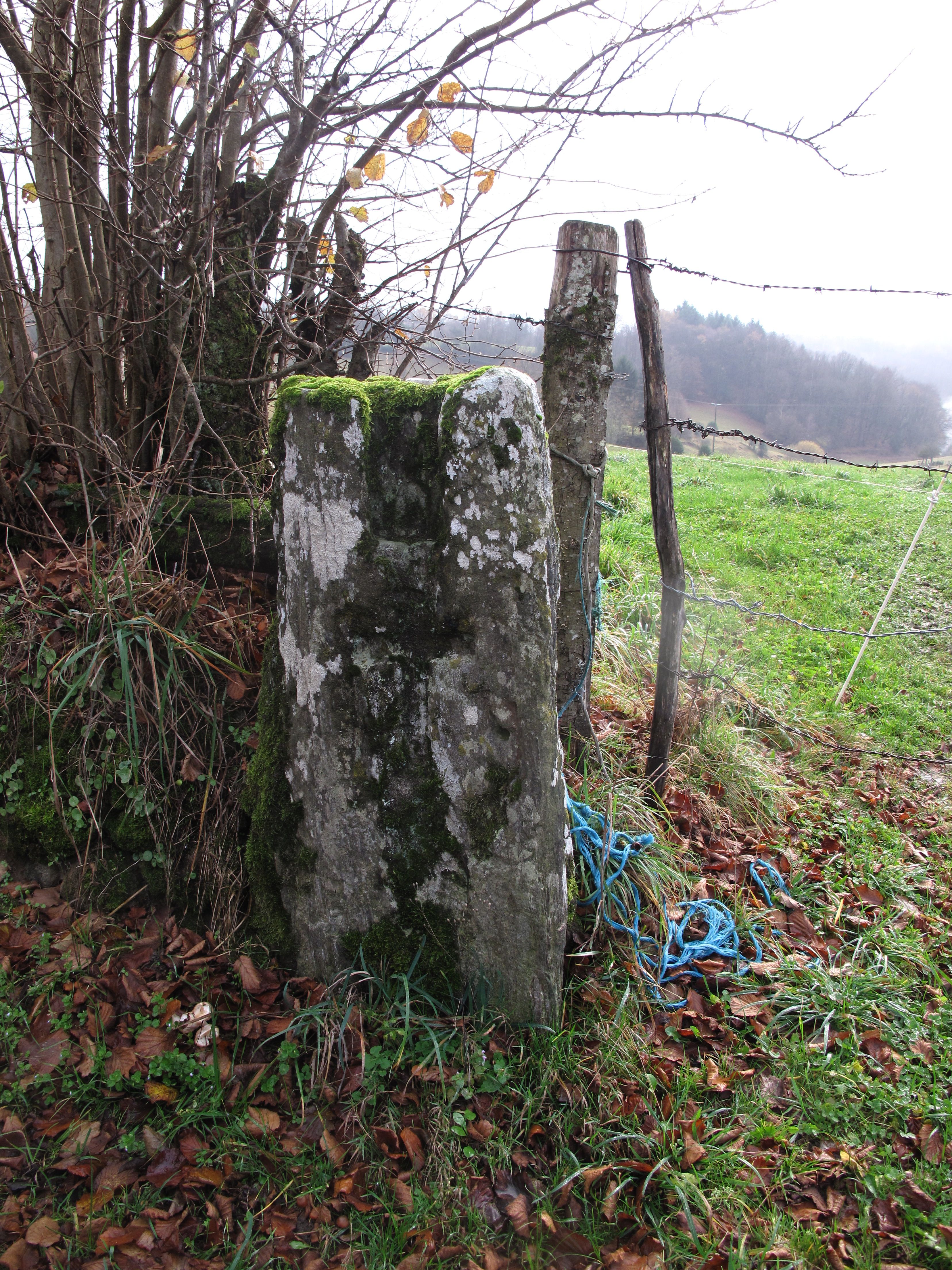 8091392_pilou_maury_ngjpg