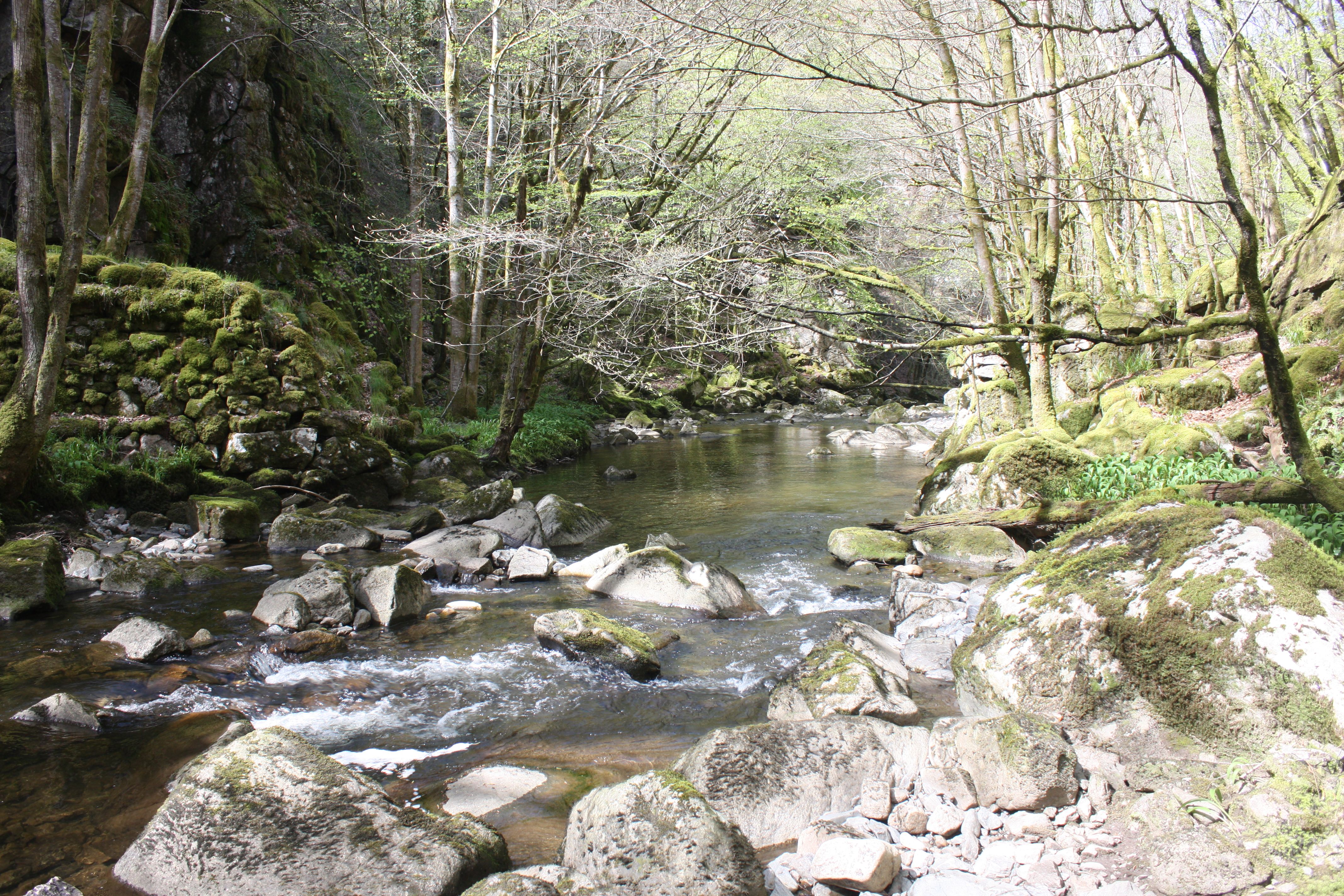 8091398_pile_de_pont_01_prjpg