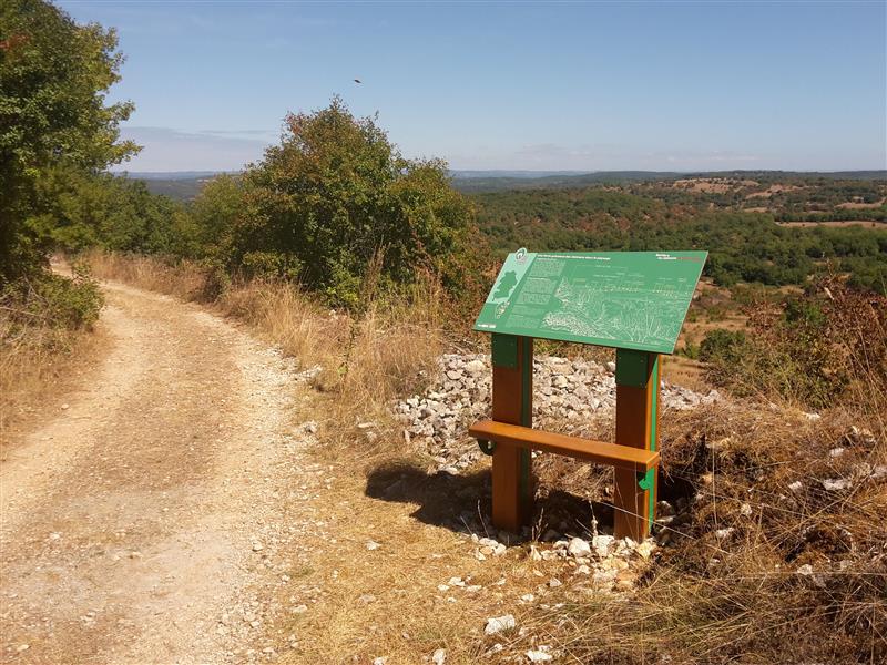 Point de vue