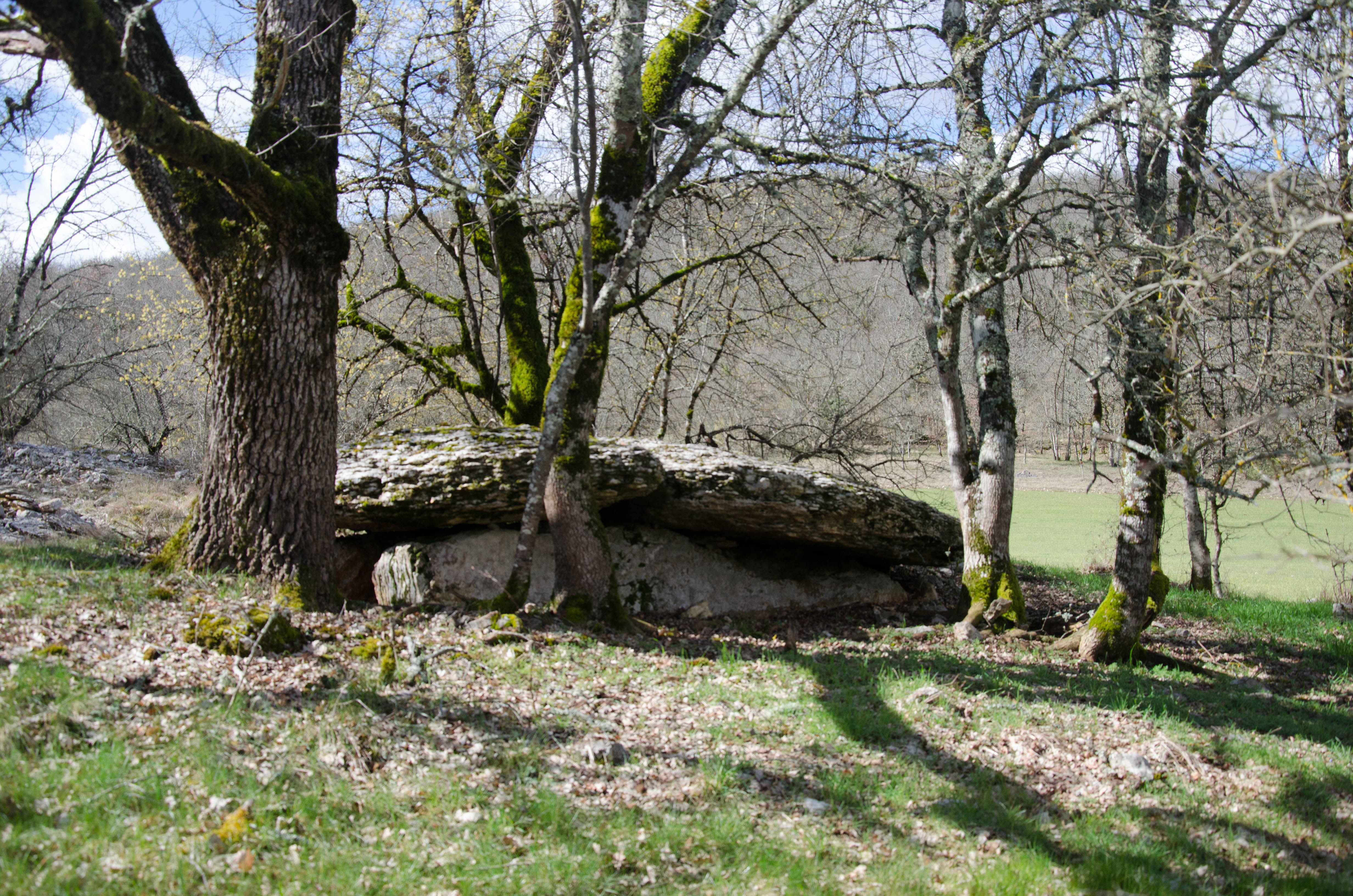 8467805_poi_7_-_photo_principale_dolmen_de__la_combe_de_saule_2jpg