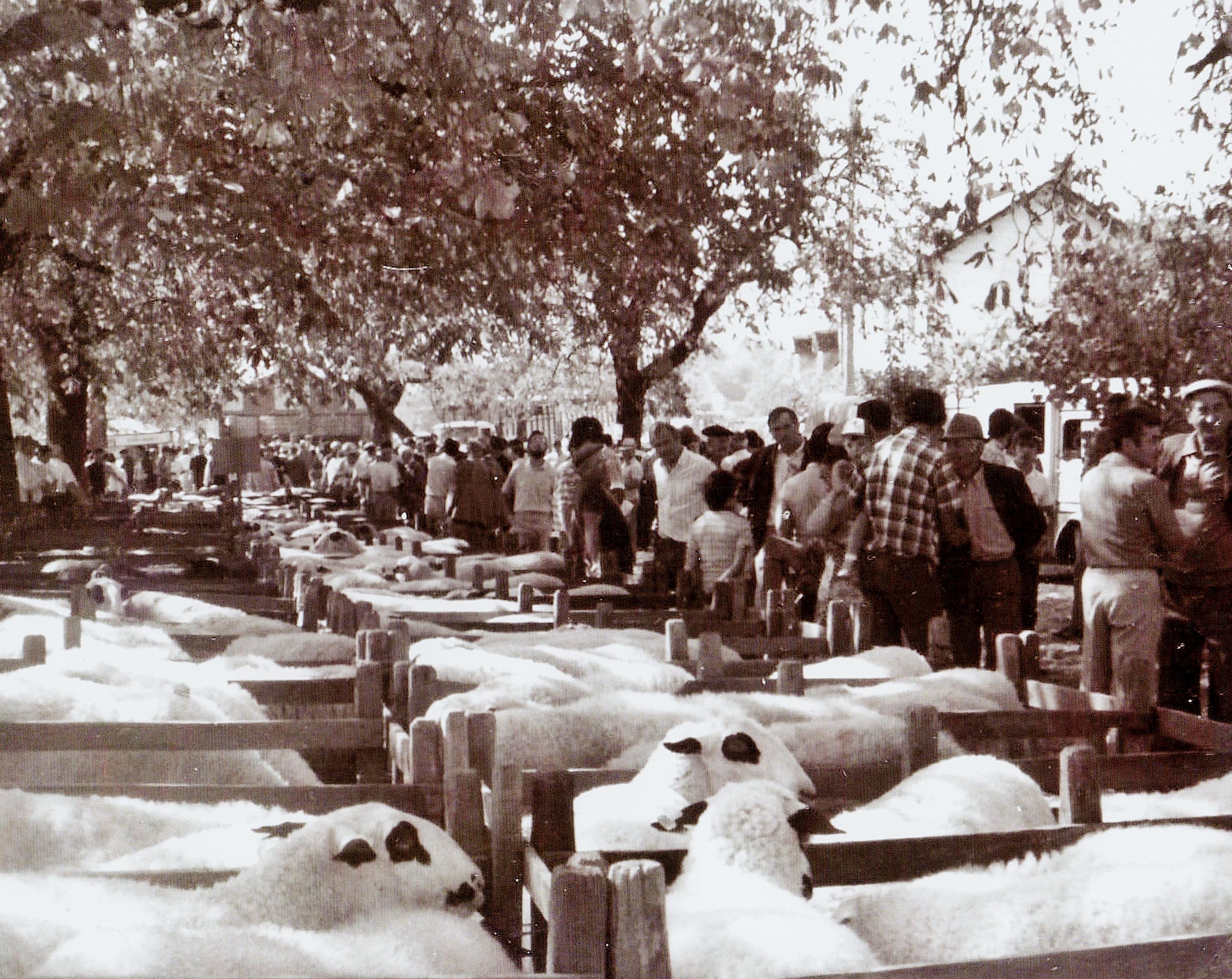 8529110_1_-_foire__espedaillac_en_1968__pnrcqjpg