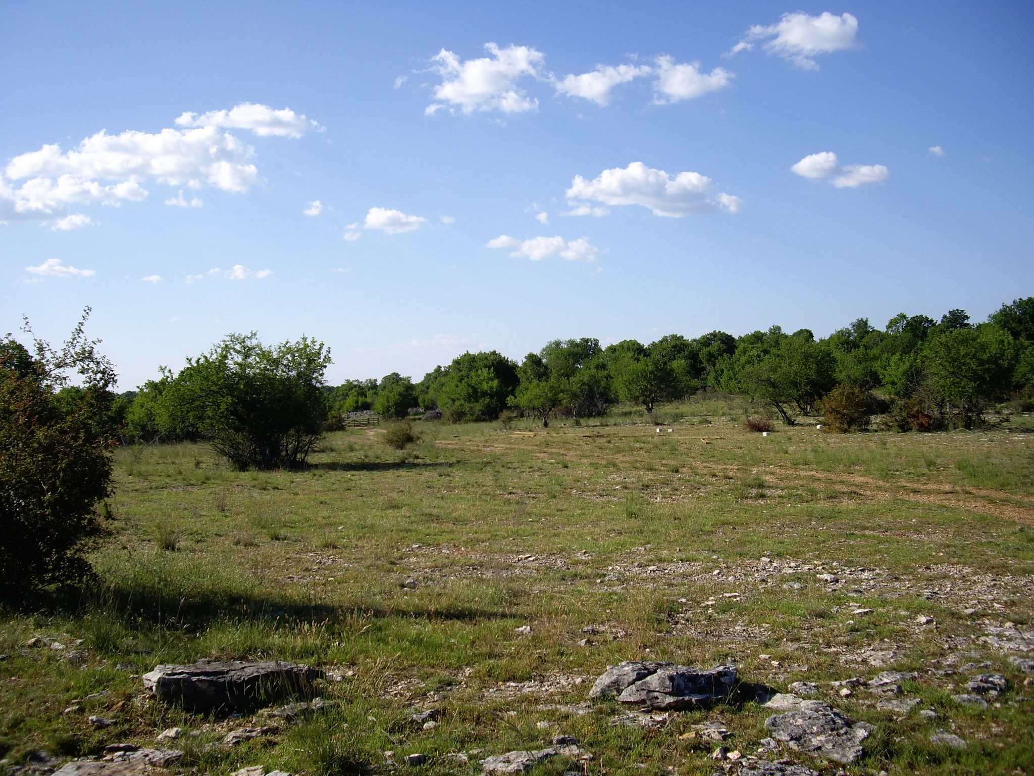 8543236_pelouses_seches__pnr_des_causses_du_quercyjpg
