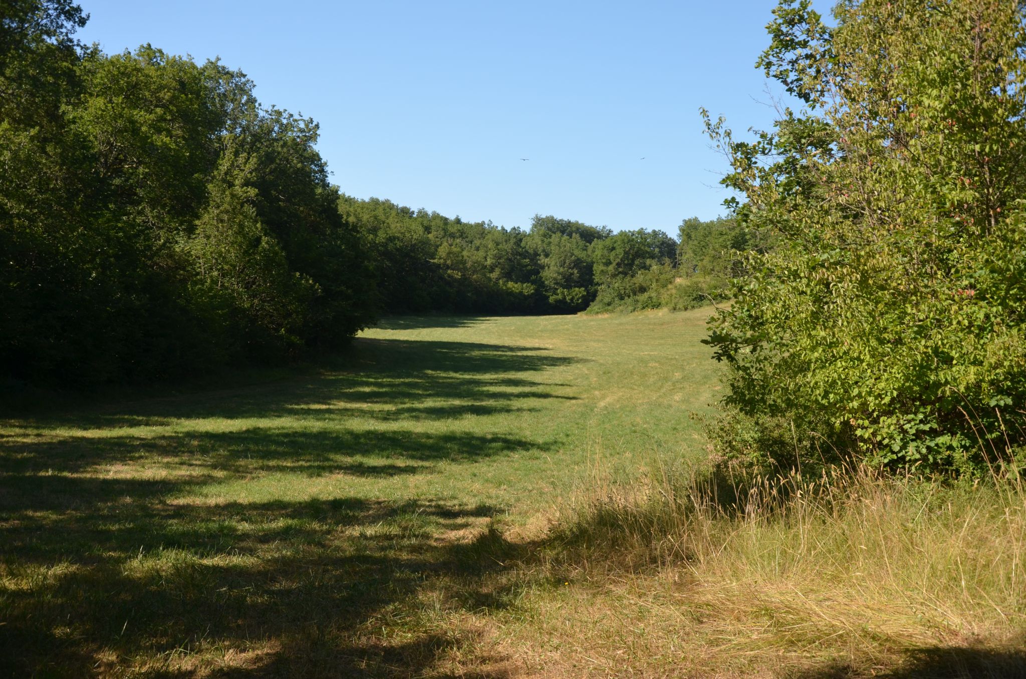 8543240_vallee_sechejpg