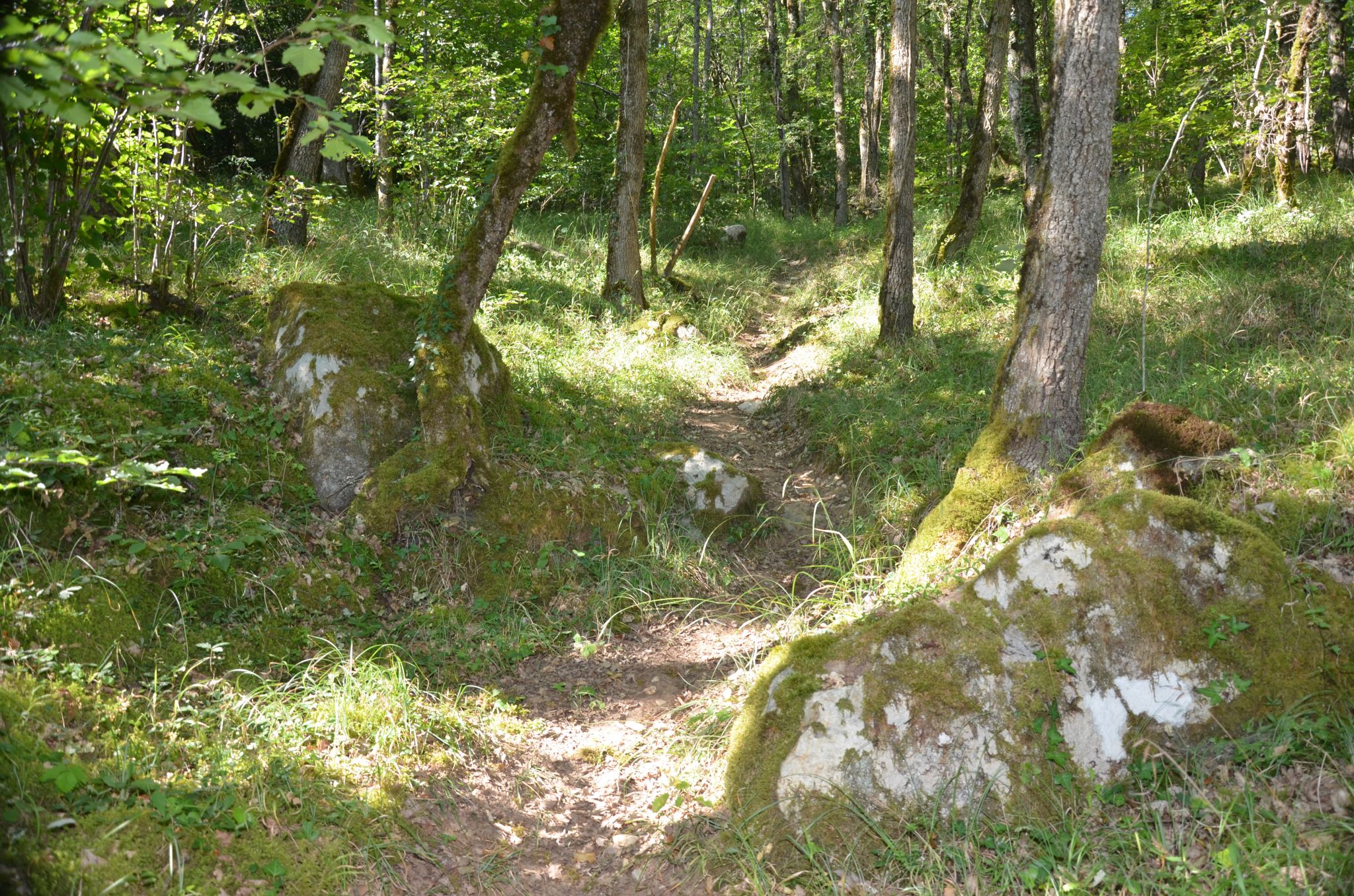 8543253_la_carriere_de_meulejpg