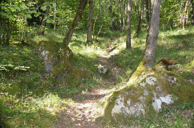 La carrière de meule