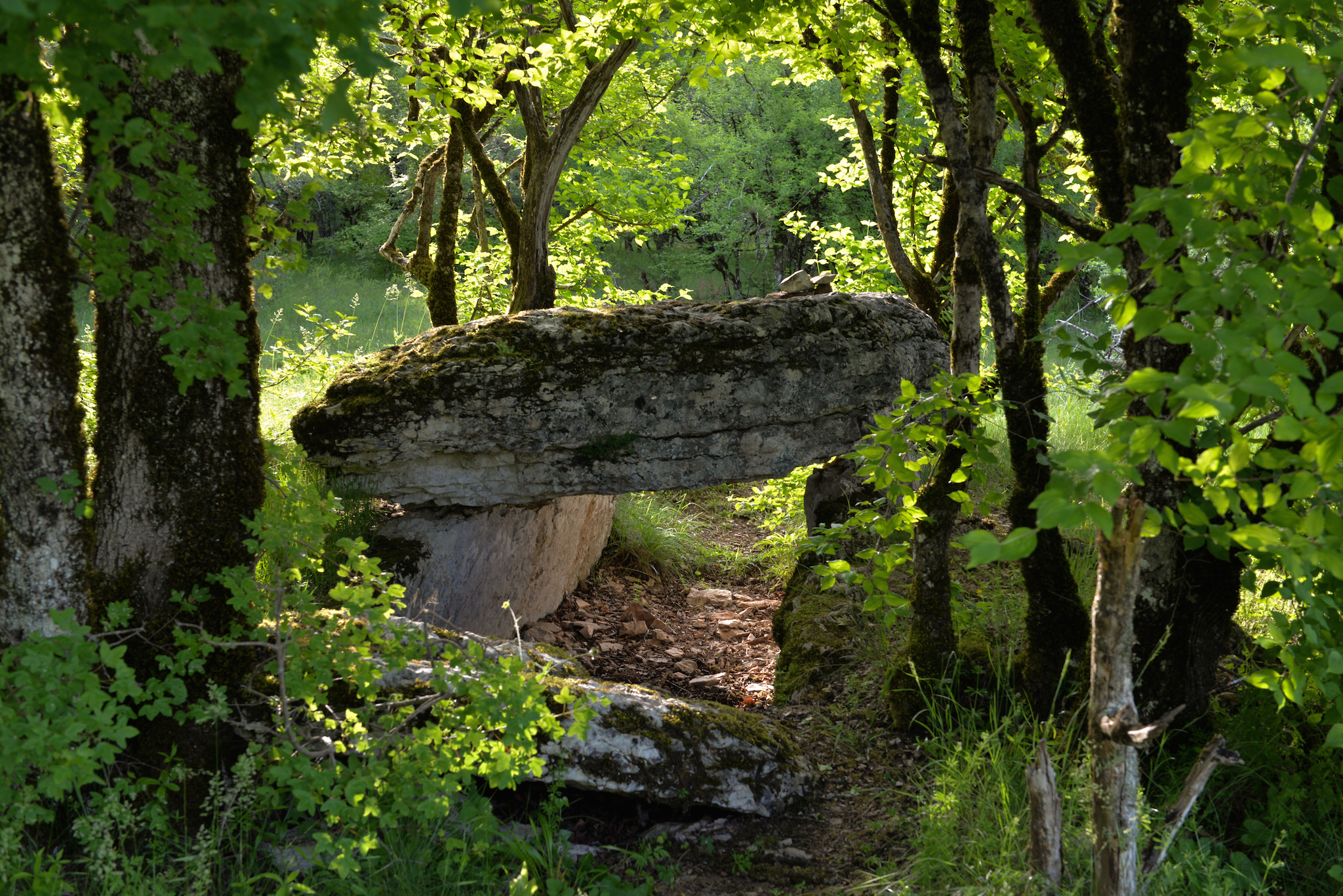 8563130_dolmen_joncas2jpg