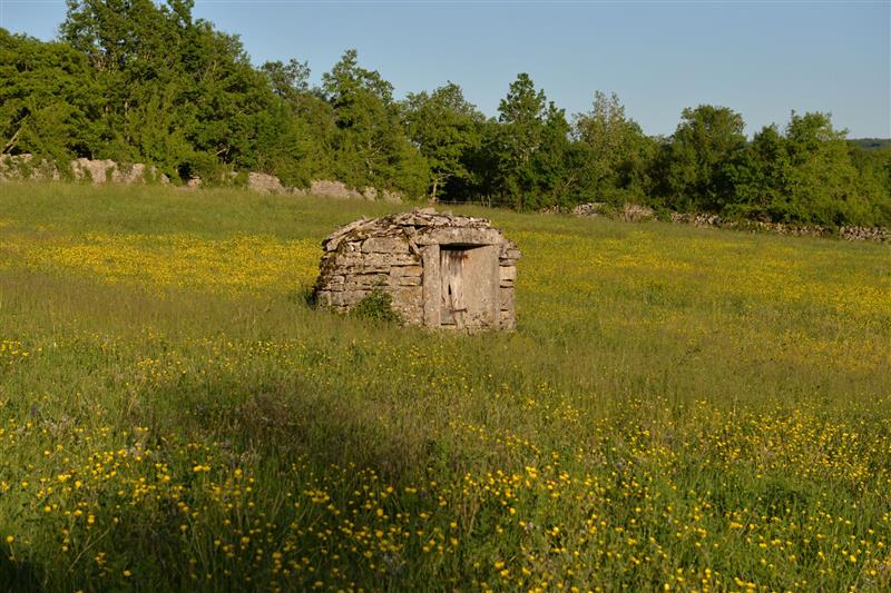 Puits couvert du Joncas