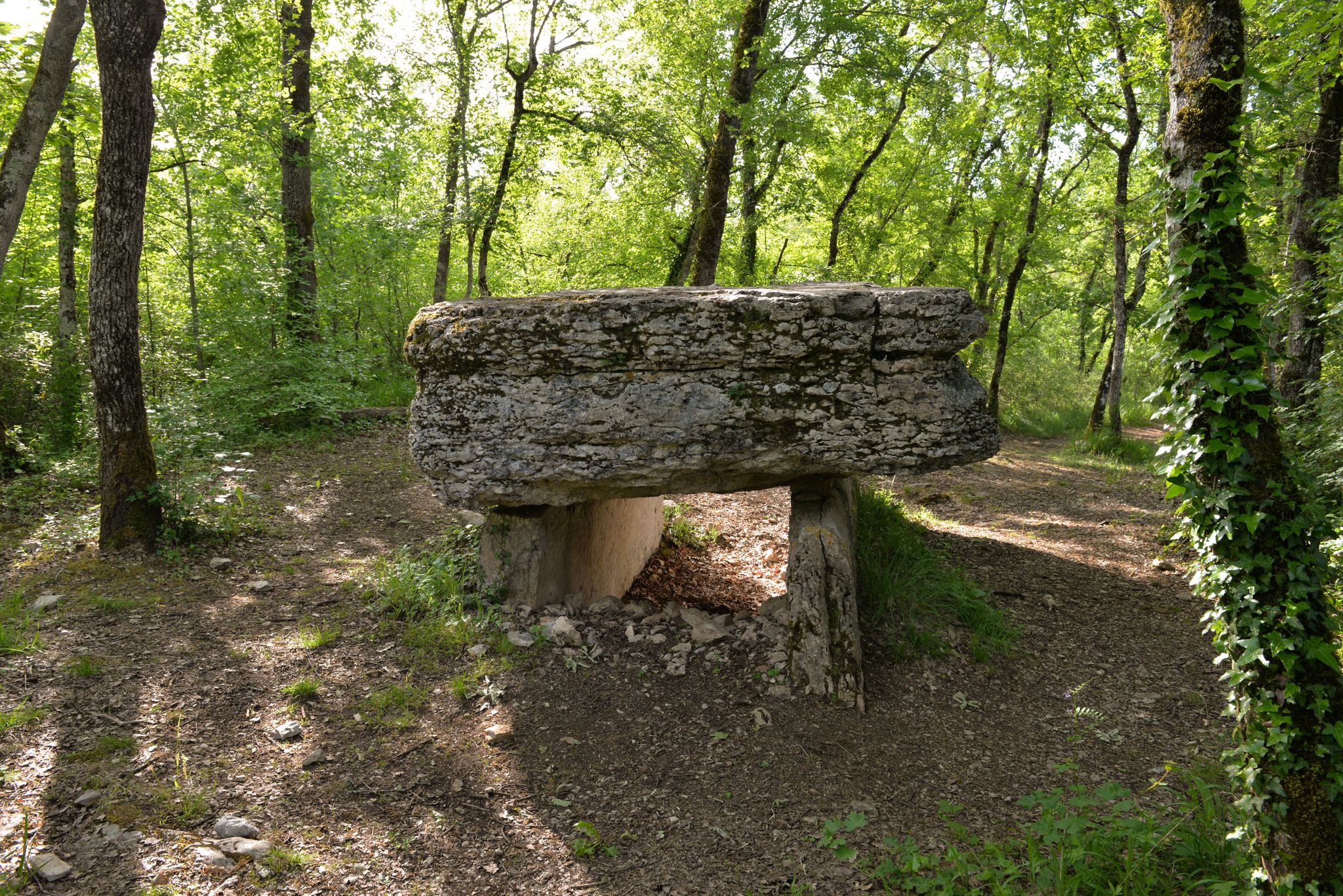 8563144_dolmen_de_pech_lapeyre2_1jpg