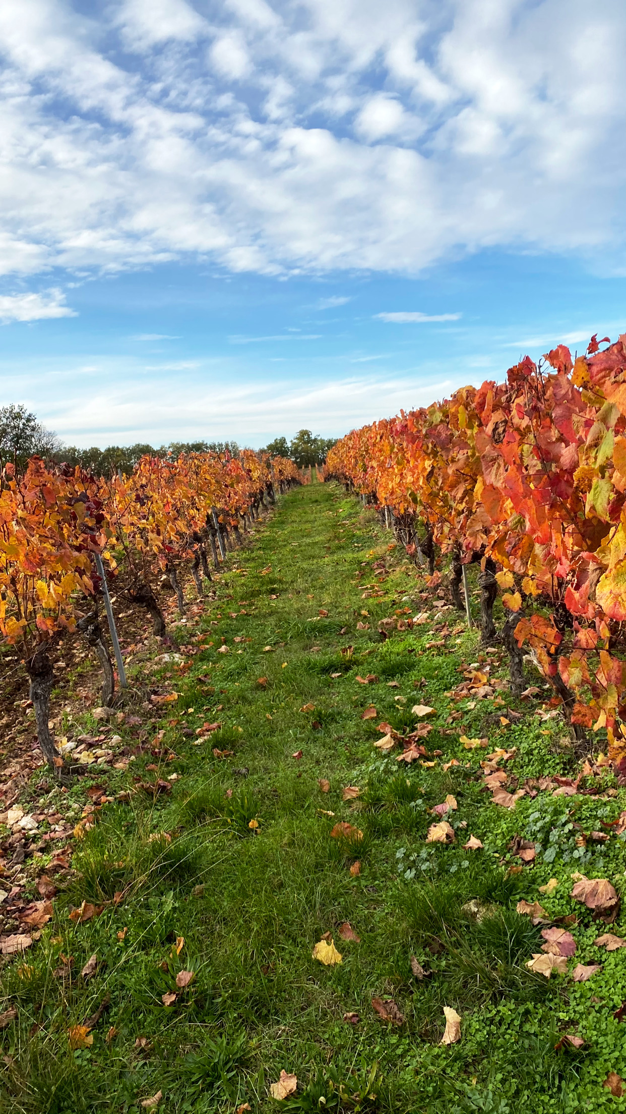 Repas gourmand au Clos de Pougette