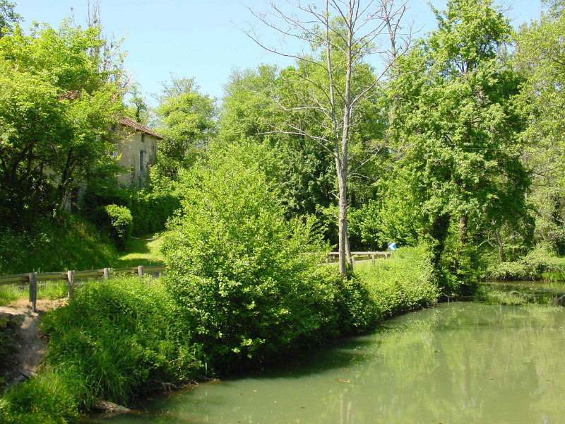 La Vallée de la Masse, Les Arques - photo 18