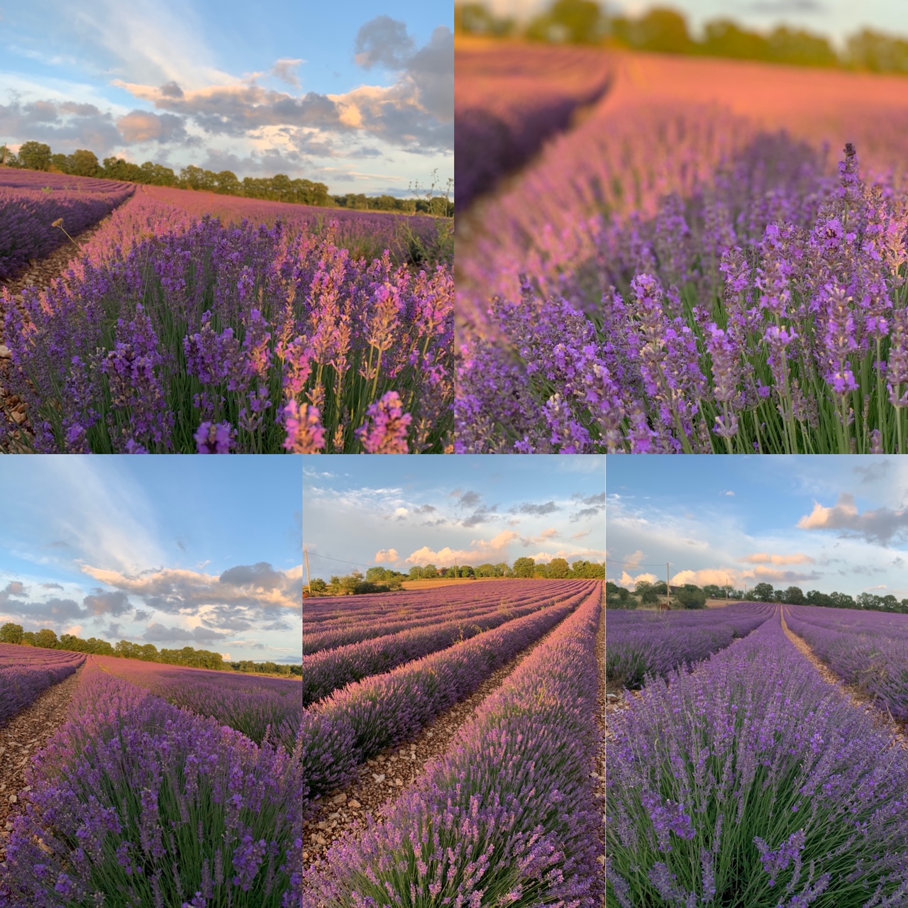 Fermes en fête à la Ferme des Alix