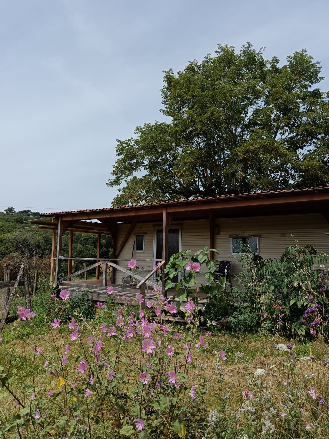 Les 2 pianos, Montcabrier - photo 4