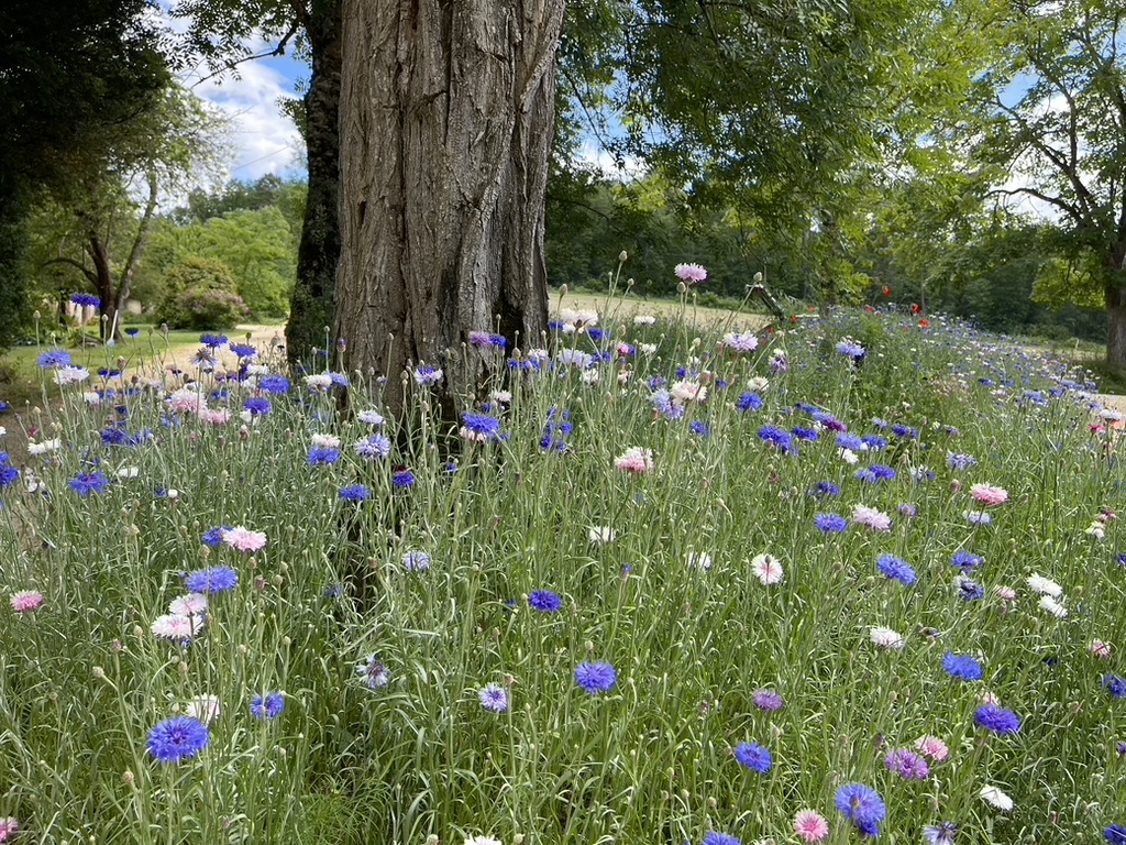 Domaine de Belbouys - Gîte La Ferme, Soturac - photo 15