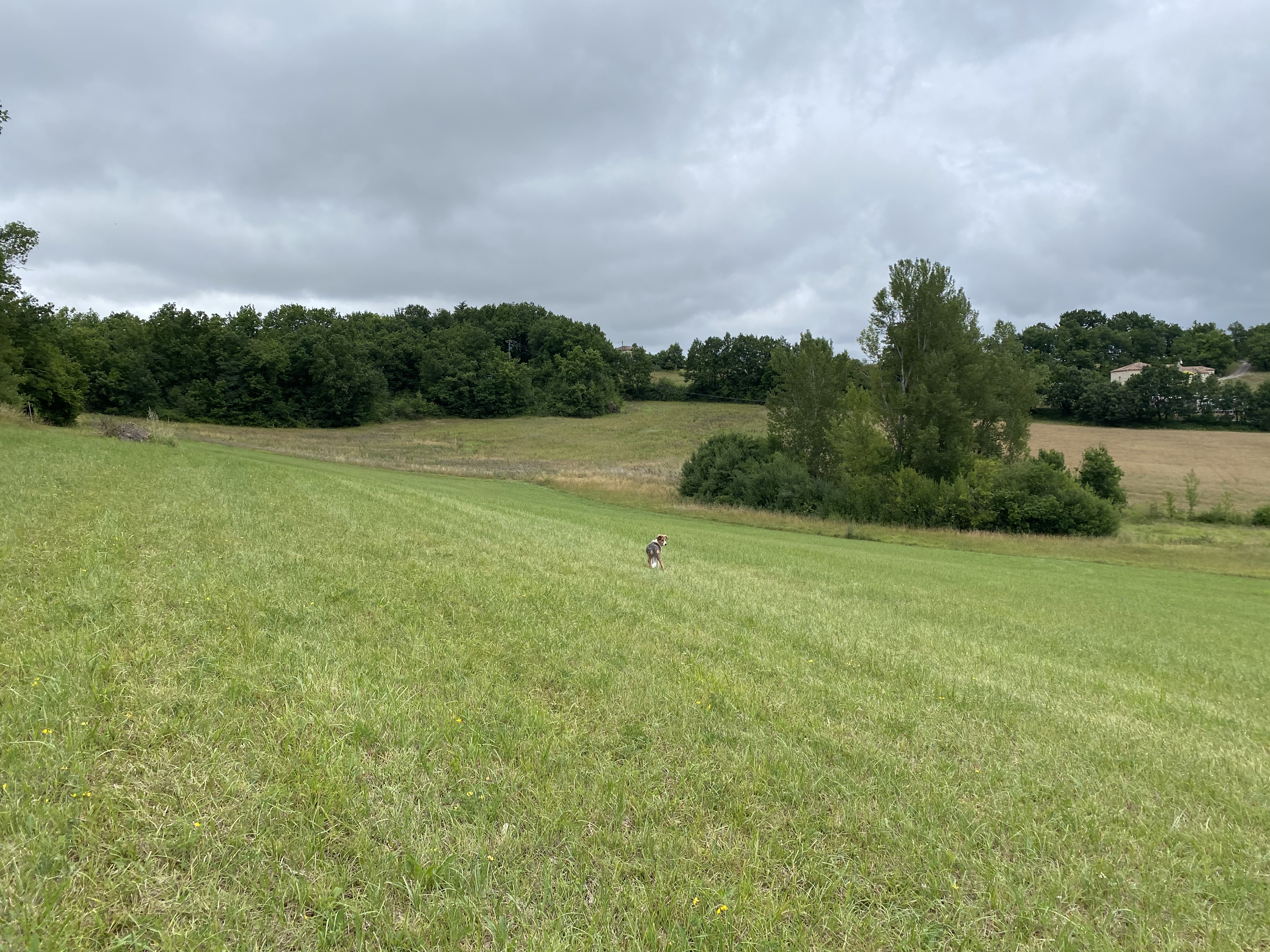 Gîte Kandinsky 8 personnes - Mas d'Huleya, Montdoumerc - photo 16