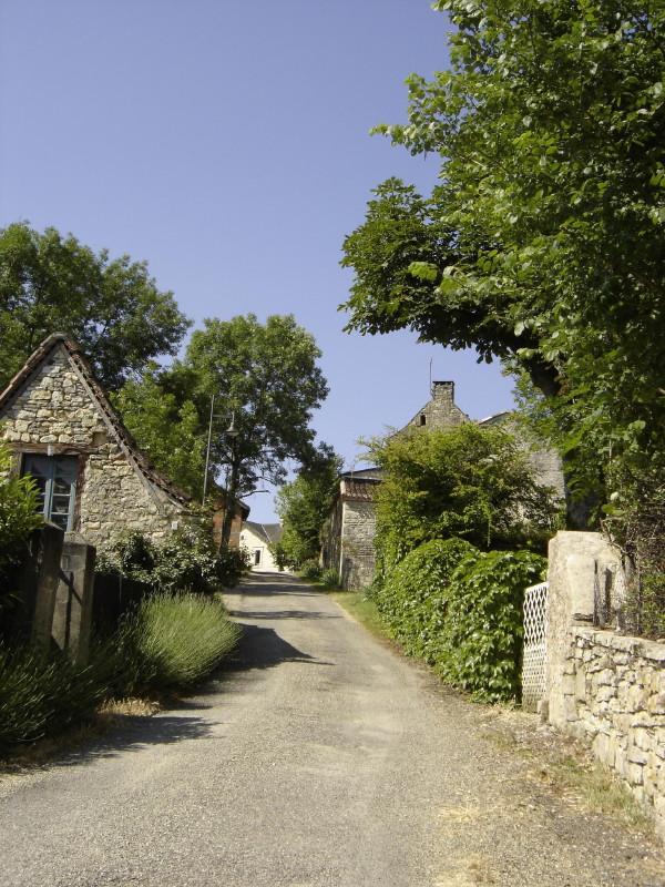 Allons Voir si la Rauze, Francoulès - photo 2