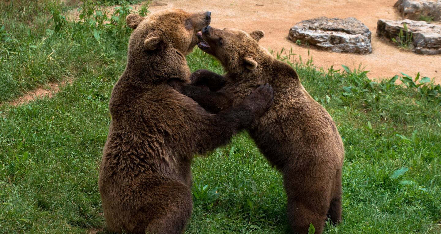 Le Domaine de Laval, Thémines - photo 12