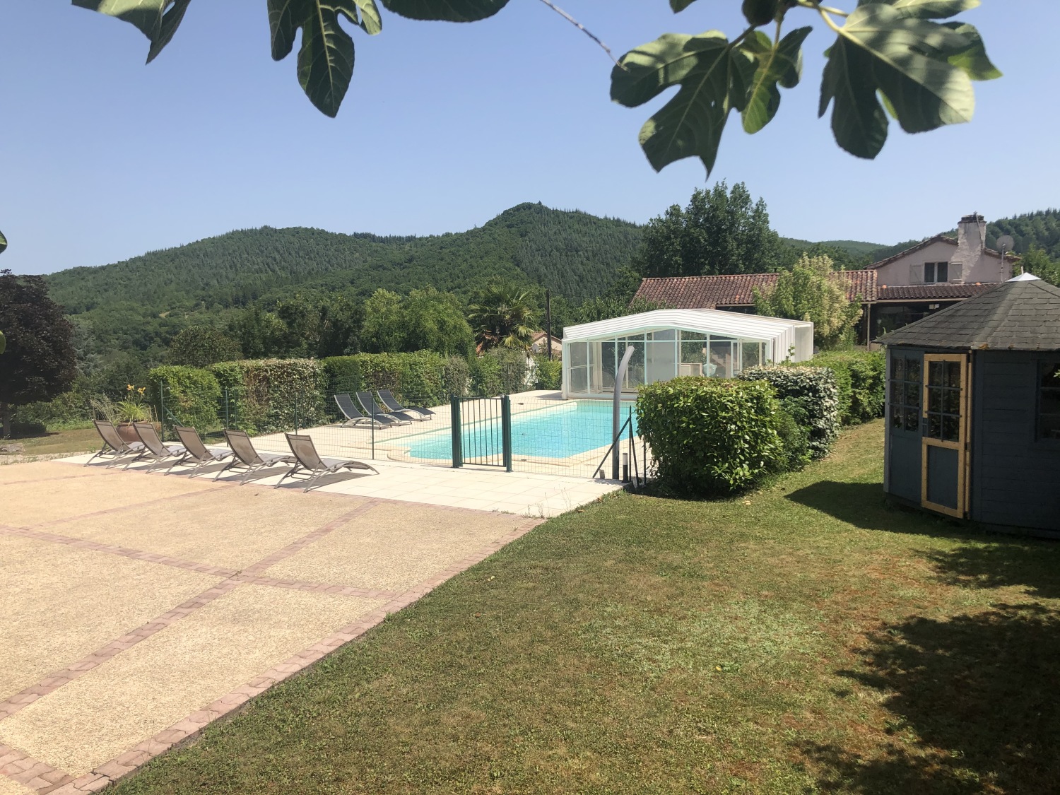 Les Figuiers de Luna - Rêve de Papillon