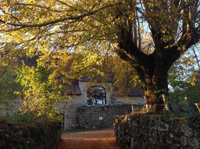 A l'Ombre du Tilleul, Sousceyrac-en-Quercy - photo 16