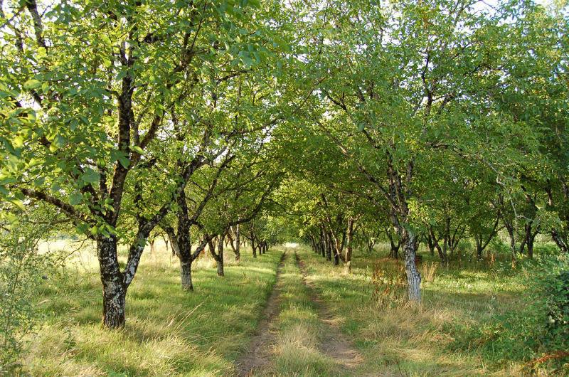 Balade sur les Berges du Lot, Pradines - photo 3