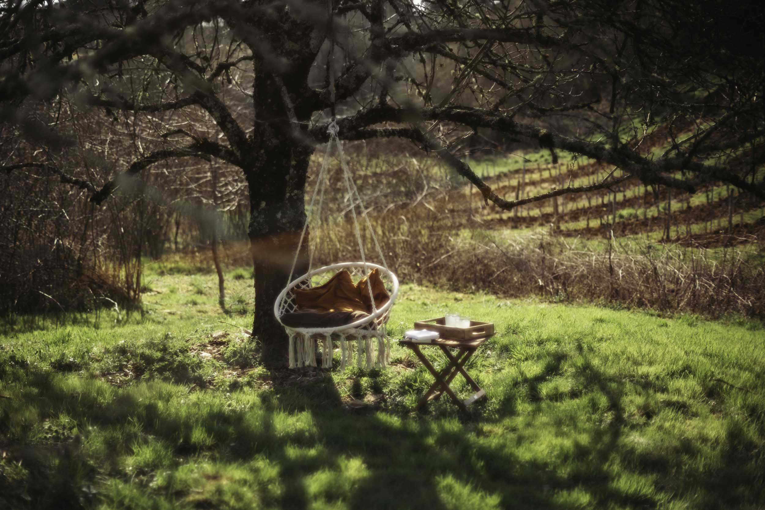 Les Jardins de Lumière, Floressas - photo 3