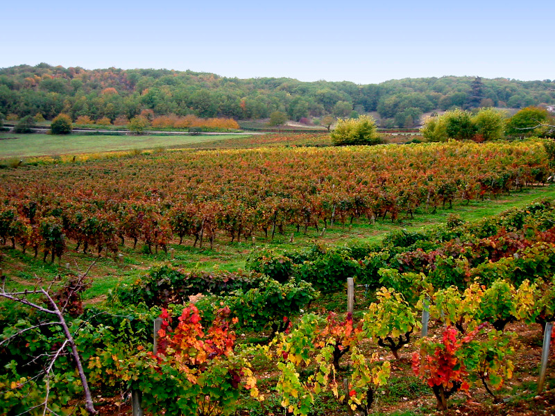Châteaux et Eglises du Vignoble de Cahors, Mauroux - photo 10