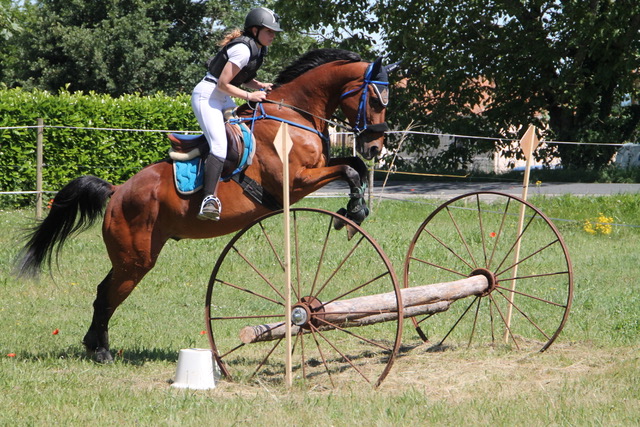 Challenge départemental Hunter du Lot