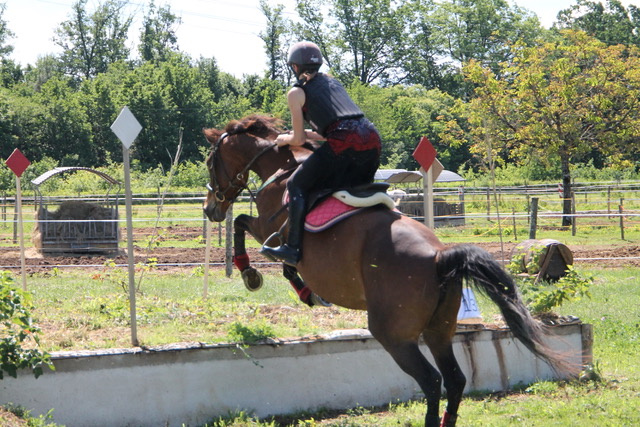 Derby Cross - Derby Eventing, Gourdon - photo 2
