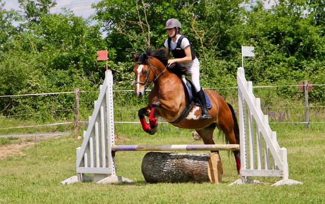 Challenge départemental Hunter du Lot, Gourdon - photo 3