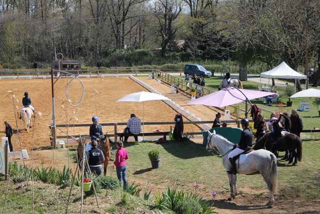 Concours de sauts d'obstacles (CSO) et de maniabilité