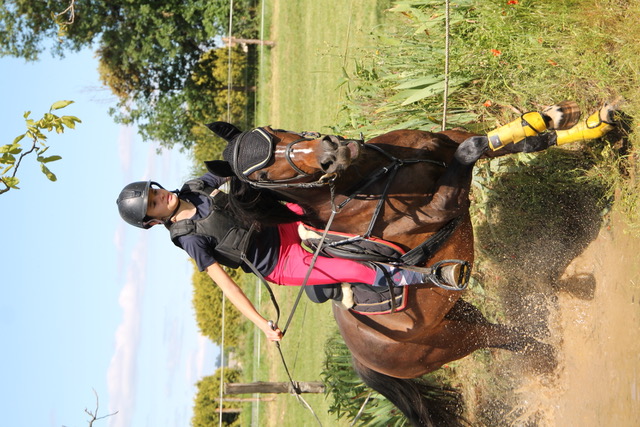 Challenge départemental Hunter du Lot, Gourdon - photo 4