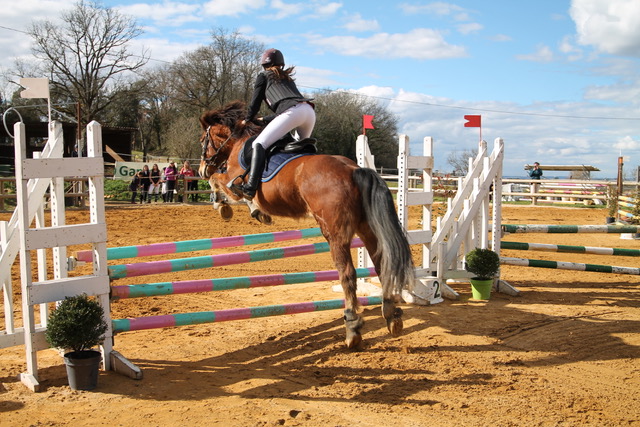 Concours Départemental Officiel de Sauts d'Obstacles (CSO Challenge du Lot)