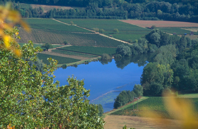 Vue sur le Vignoble