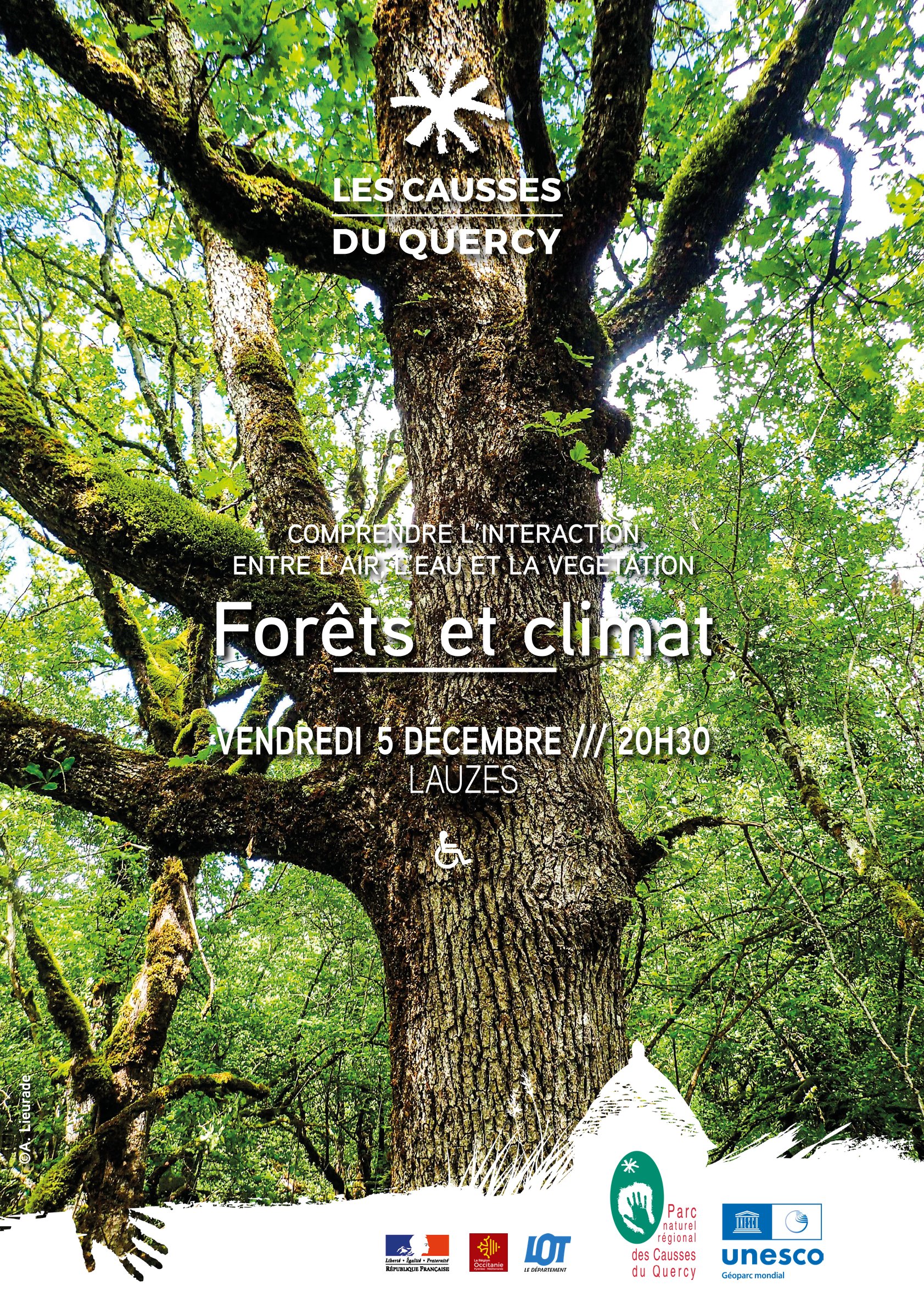 Forets et climat : comprendre l'interaction entre l'air, l'eau et la végétation
